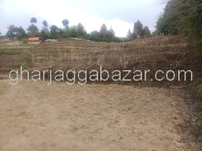 Land on Sale at Jarsing Pauwa
